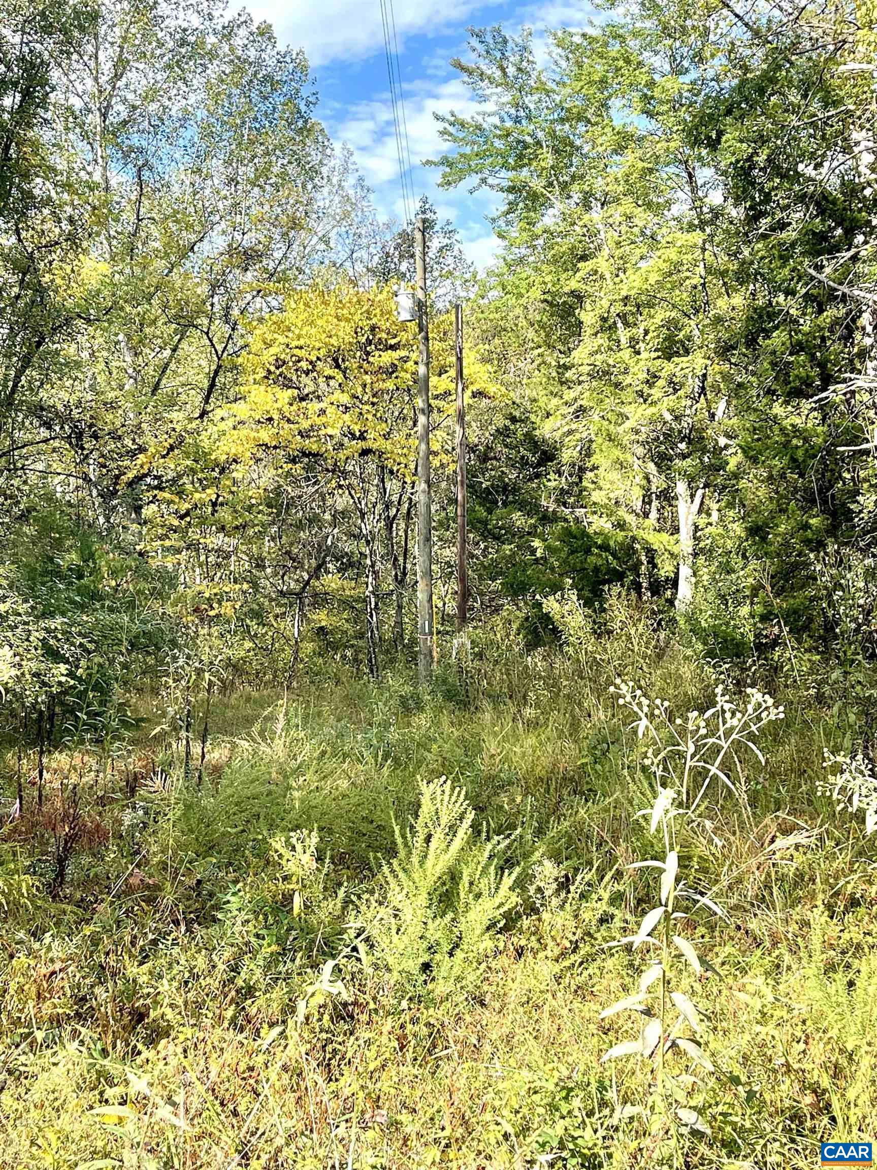 0 Riverdale Road Stanardsville, VA 22973 - Photo 10 of 12 a view of a big yard with large trees