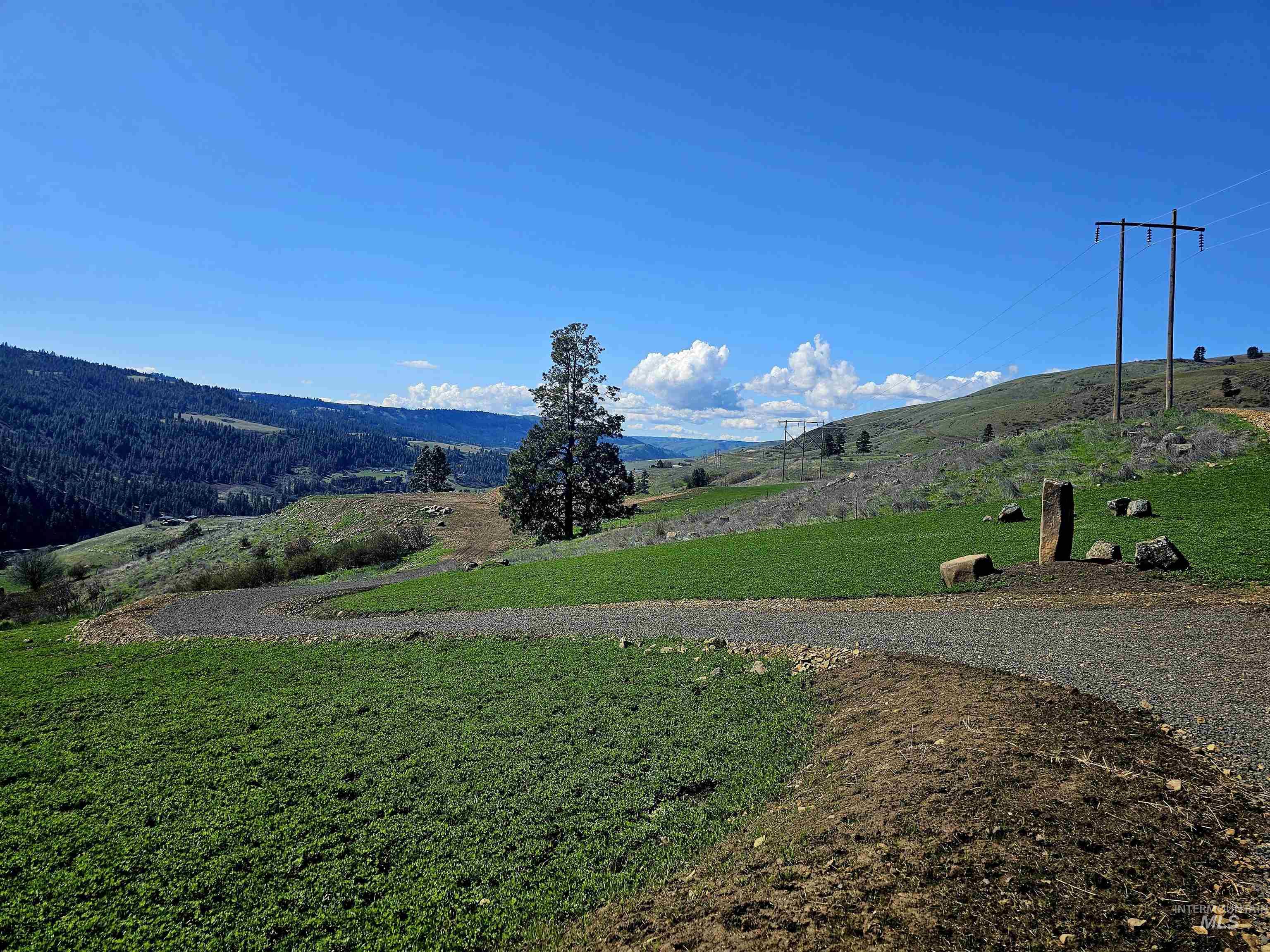 Tbd Lot 5 Tbd Lane Lenore, ID 83541 - Photo 7 of 31