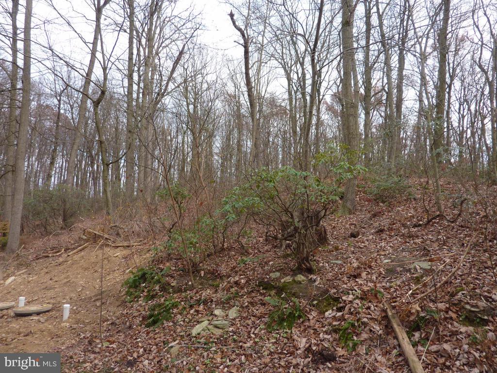 245 Snyder Hollow Road New Providence, PA 17560 - Photo 27 of 30 Gallery Image 27