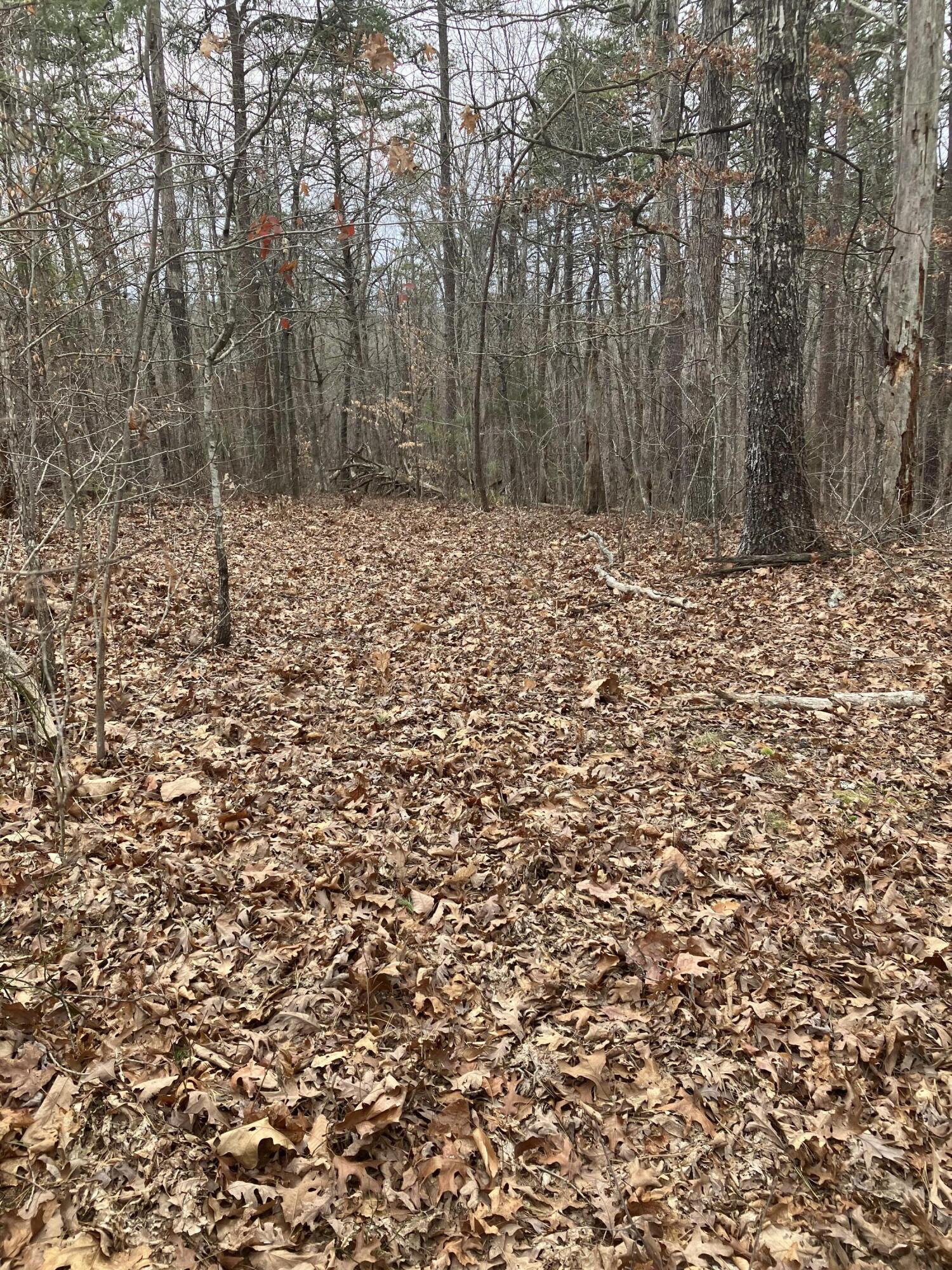 700 Butler Road Owingsville, KY 40360 - Photo 16 of 18 6477ED1F-F079-401F-B38E-9992D8F53144
