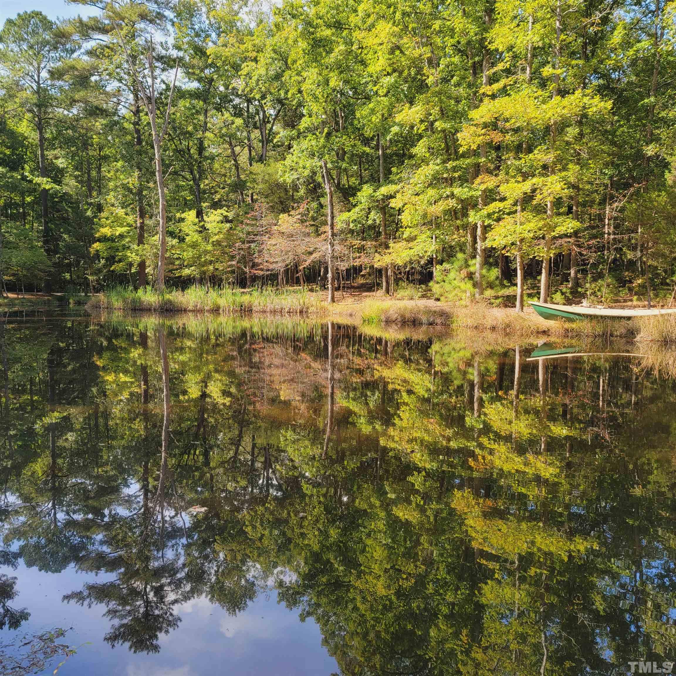 3616 Ragtime Road Hillsborough, NC 27278 - Photo 28 of 29 a view of a big yard with large trees
