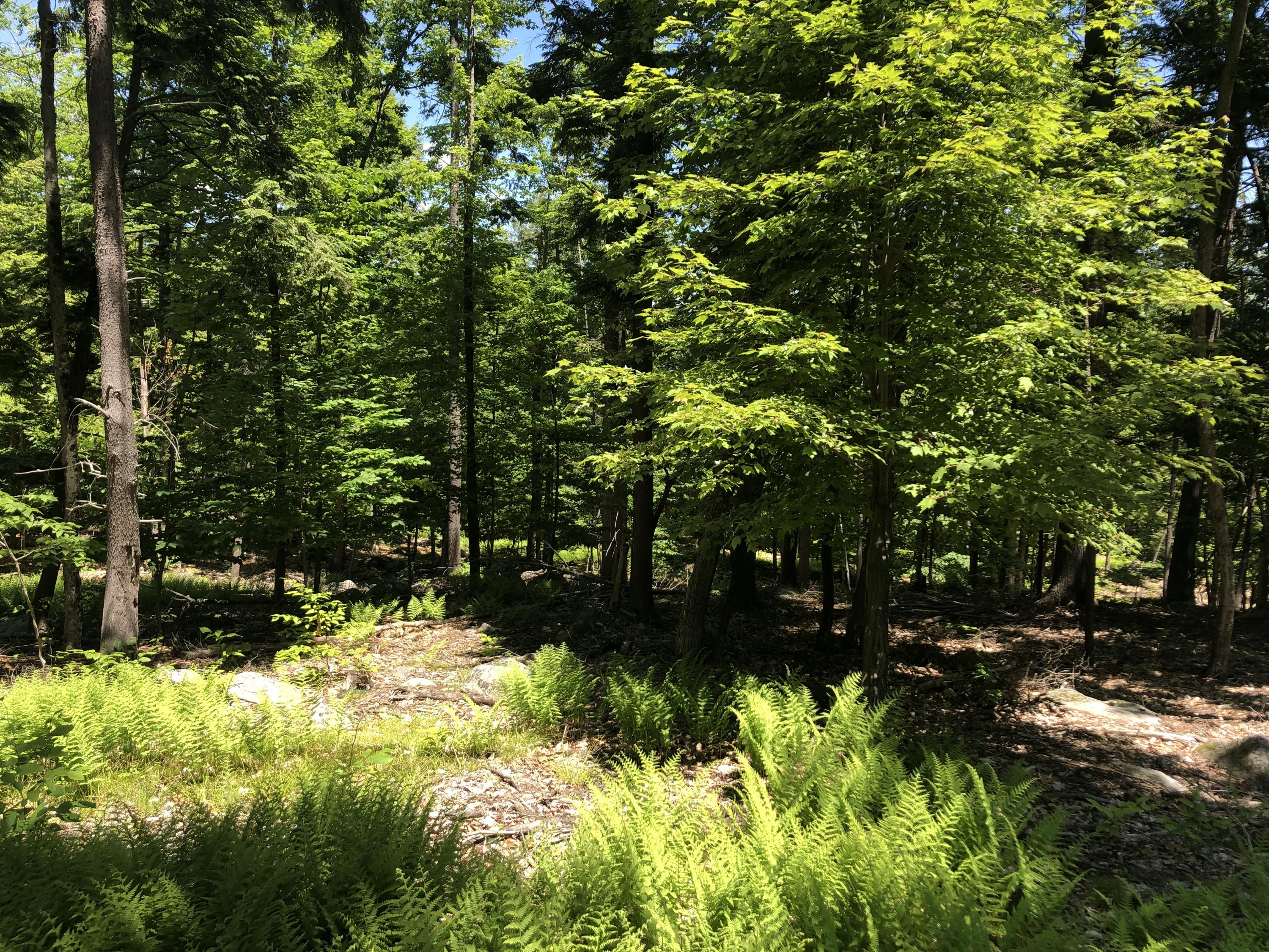 60 Quarry Cove Road Raymond, ME 04071 - Photo 5 of 11 Kim 9