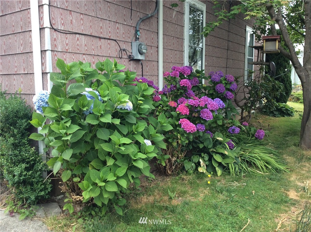 545 Morris Avenue South Renton, WA 98057 - Photo 4 of 12
