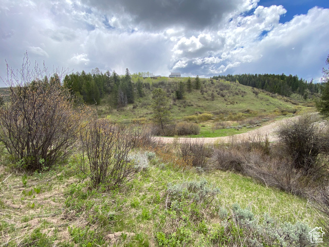 41 Grouse Loop Road, Unit 41 Freedom, WY 83120 - Photo 20 of 33 View of nature featuring rural landscape