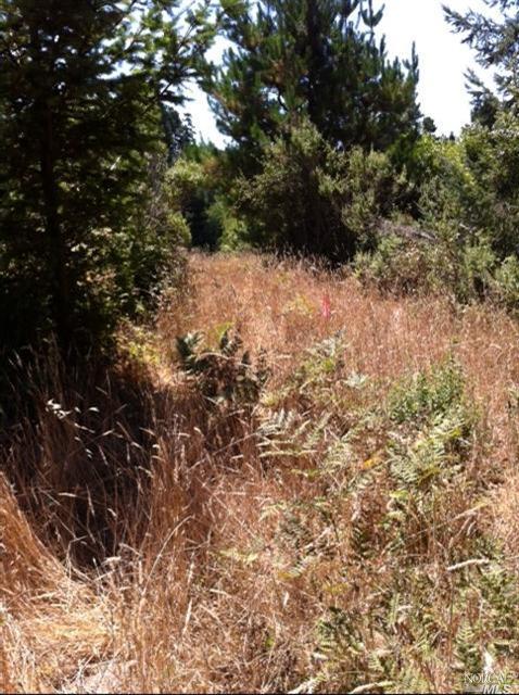 10633 Barnett Valley Road Sebastopol, CA 95472 - Photo 1 of 1 Gallery Image 1