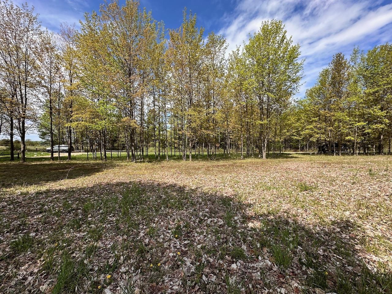 7 Miley Point Bellaire, MI 49615 - Photo 26 of 35 1922223-9b00949b-da19-4877-b743-cdd40ef6da1b.JPG