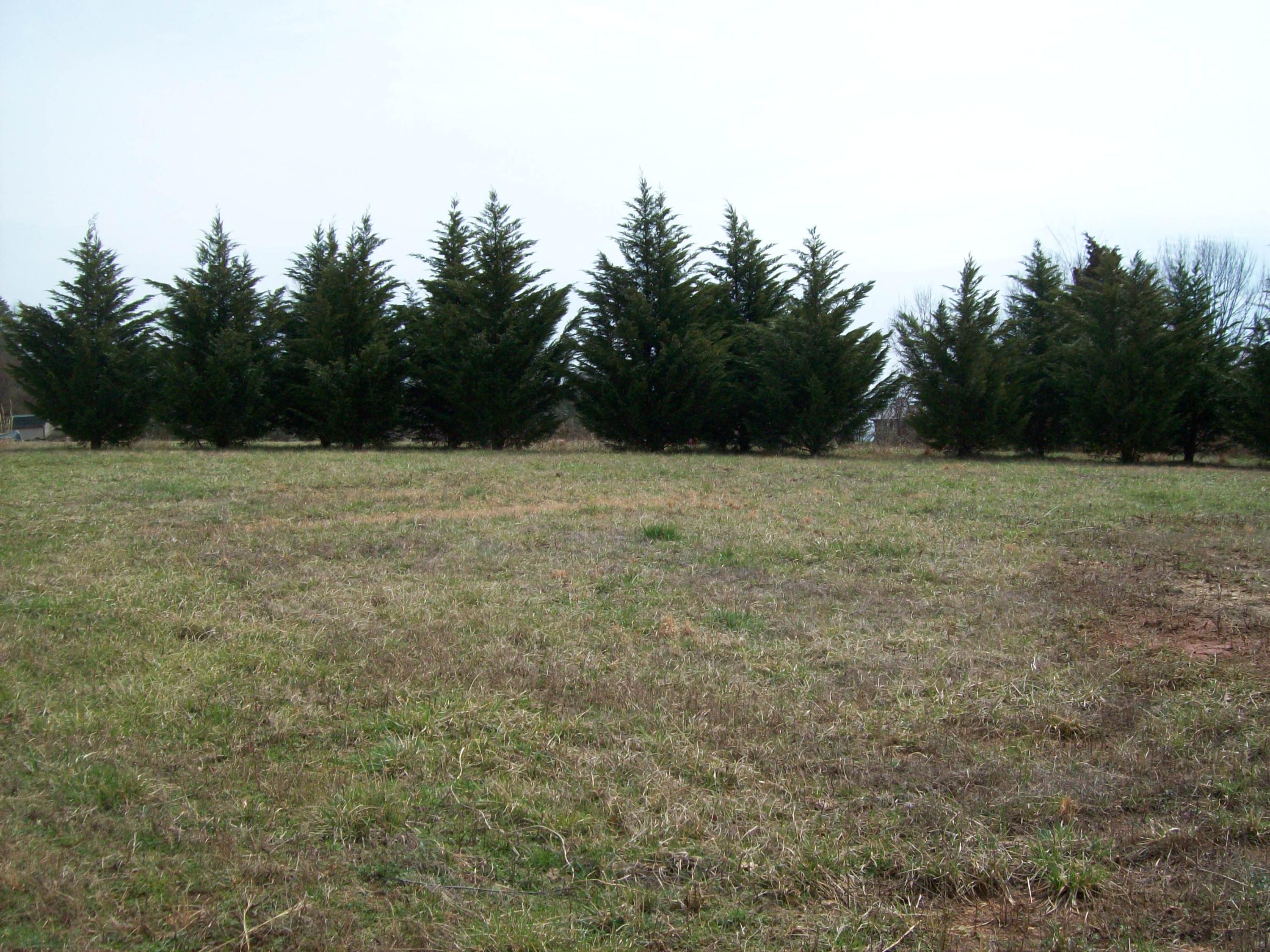 3958 Craigs Chapel Rd 008.JPG
