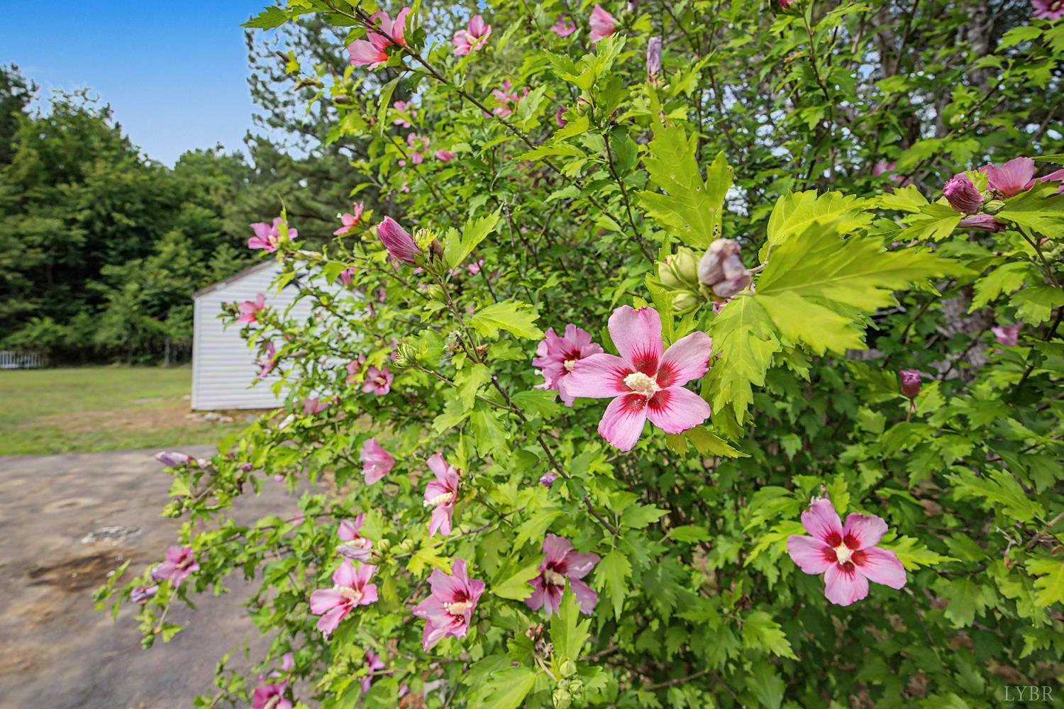 632 Namozine Road Crewe, VA 23930 - Photo 44 of 67 Gallery Image 44
