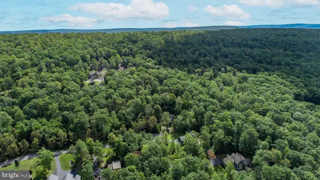 an aerial view of residential houses with outdoor space and trees