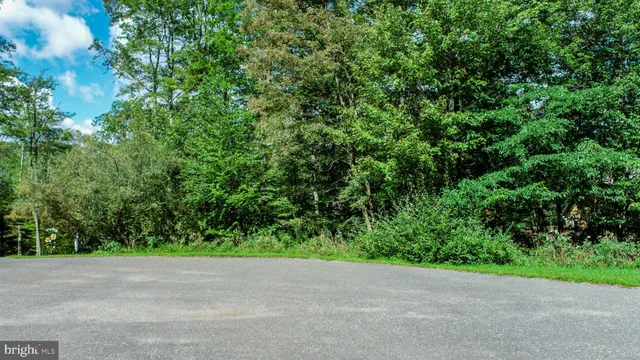 a view of a green field with plants in front of it