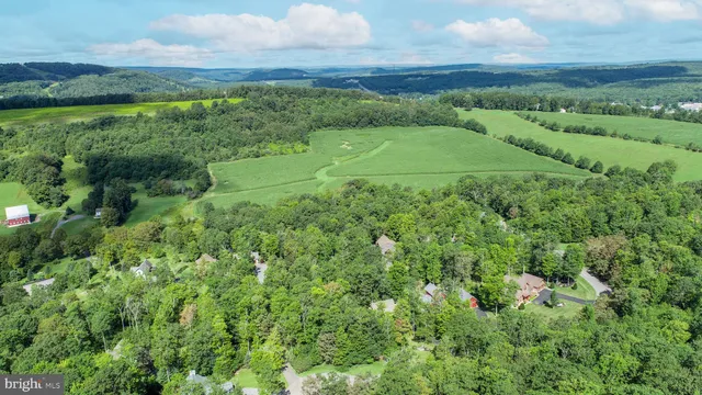 a view of a lush green space with sea