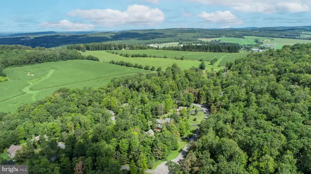 a view of a green field with lots of bushes