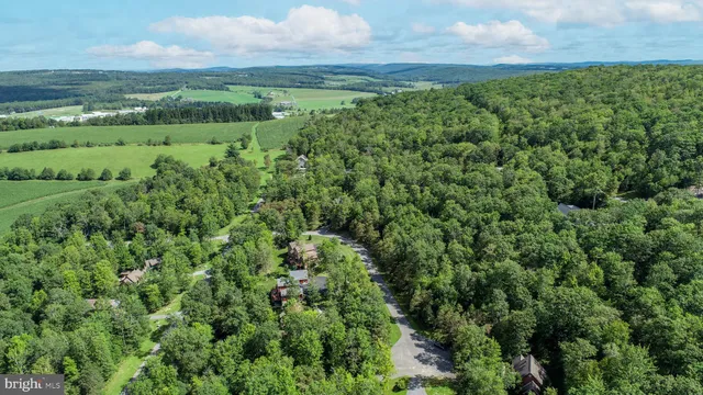 a view of a lush green space