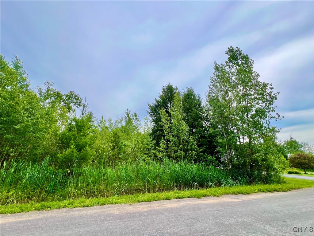Lot 7 Forest Ridge Drive Utica, NY 13501 - Photo 3 of 7