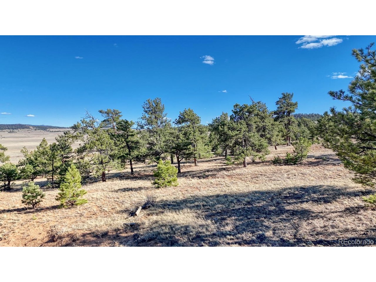 5103 Anasazi Road Hartsel, CO 80449 - Photo 4 of 21 Gallery Image 4