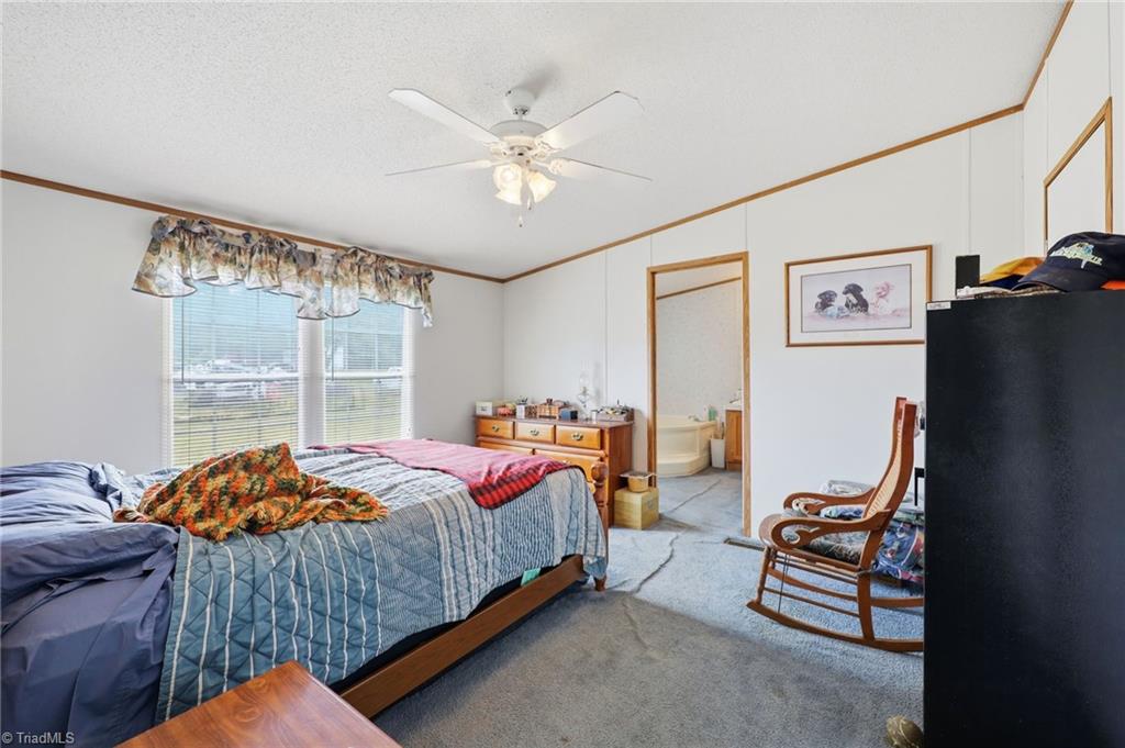 4790 Waynick Meadow Road Asheboro, NC 27205 - Photo 7 of 33 Primary bedroom.