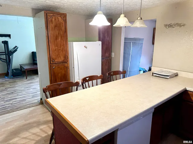 $55,000 | 414 East Monroe Avenue, Farina, IL 62838