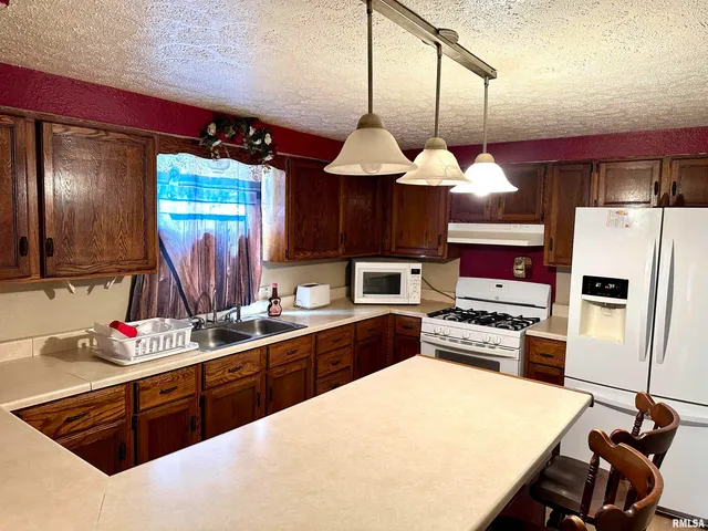 $55,000 | 414 East Monroe Avenue, Farina, IL 62838