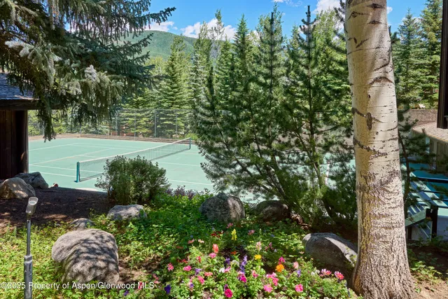 $40,000 | 800 South Monarch Street, Unit 13, Aspen, CO 81611