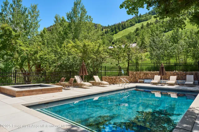 $40,000 | 800 South Monarch Street, Unit 13, Aspen, CO 81611