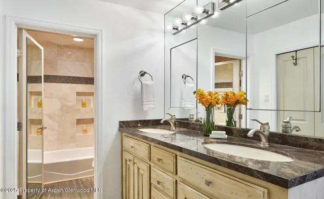 $40,000 | 800 South Monarch Street, Unit 13, Aspen, CO 81611