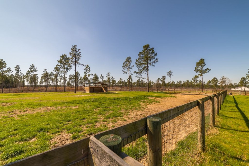 1942 Joyner Pond Road Aiken, SC 29803 - Photo 11 of 24 Gallery Image 11