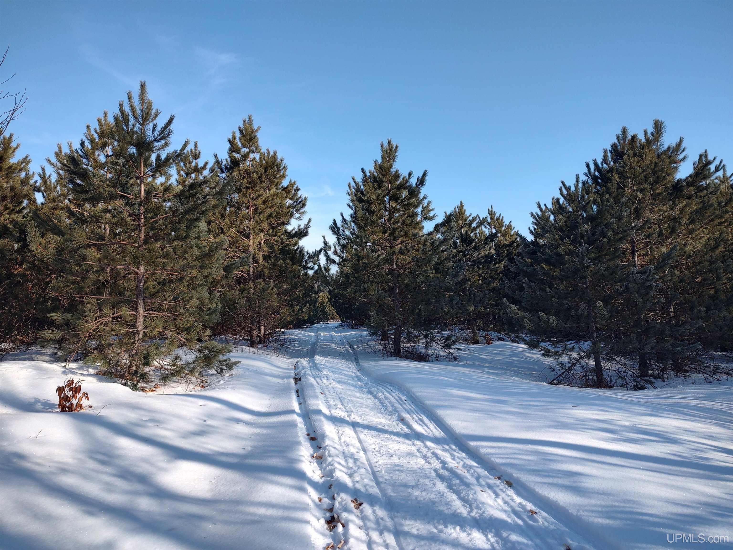 40-acres Gierke Road Manistique, MI 49854 - Photo 19 of 39