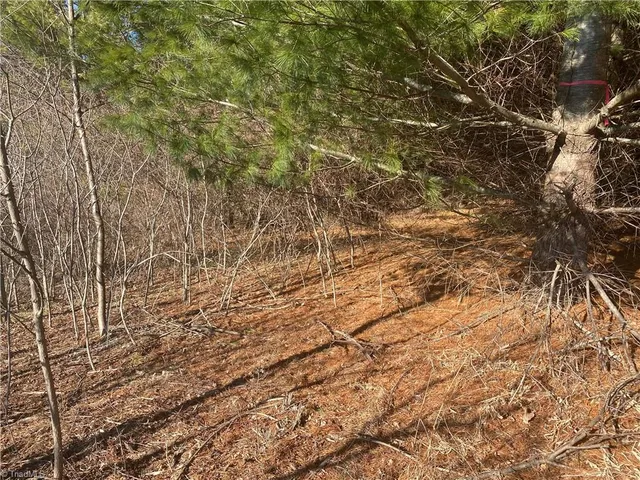 $16,500 | Tbd Holly Hill Drive, Sparta, NC 28675