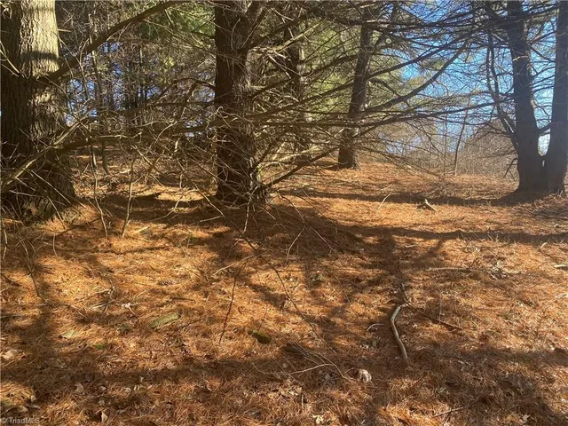 $16,500 | Tbd Holly Hill Drive, Sparta, NC 28675