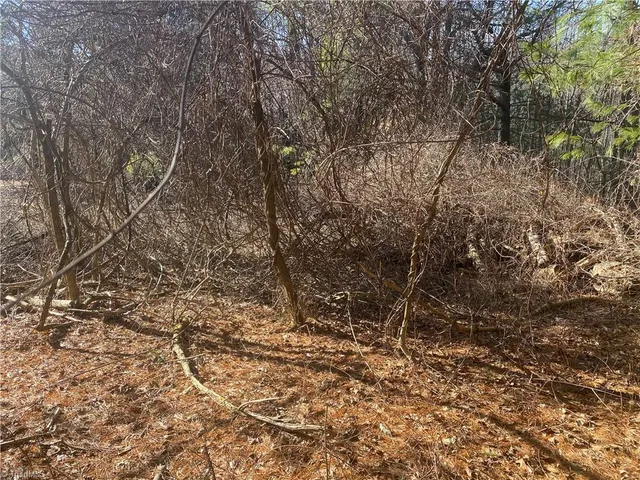 $16,500 | Tbd Holly Hill Drive, Sparta, NC 28675