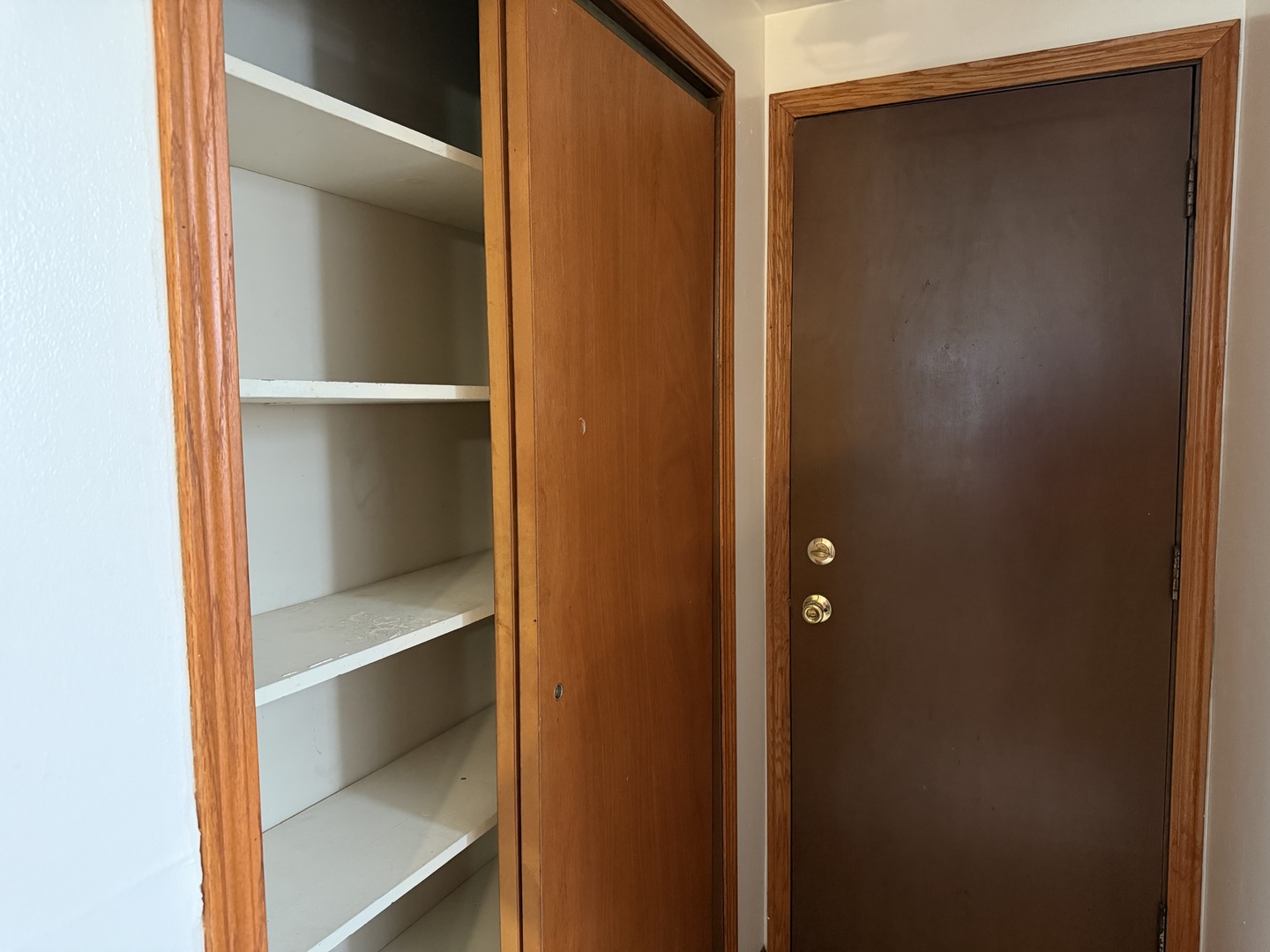 7226 West 63rd Place, Unit 1 Summit, IL 60501 - Photo 10 of 10 a view of walk in closet with empty racks
