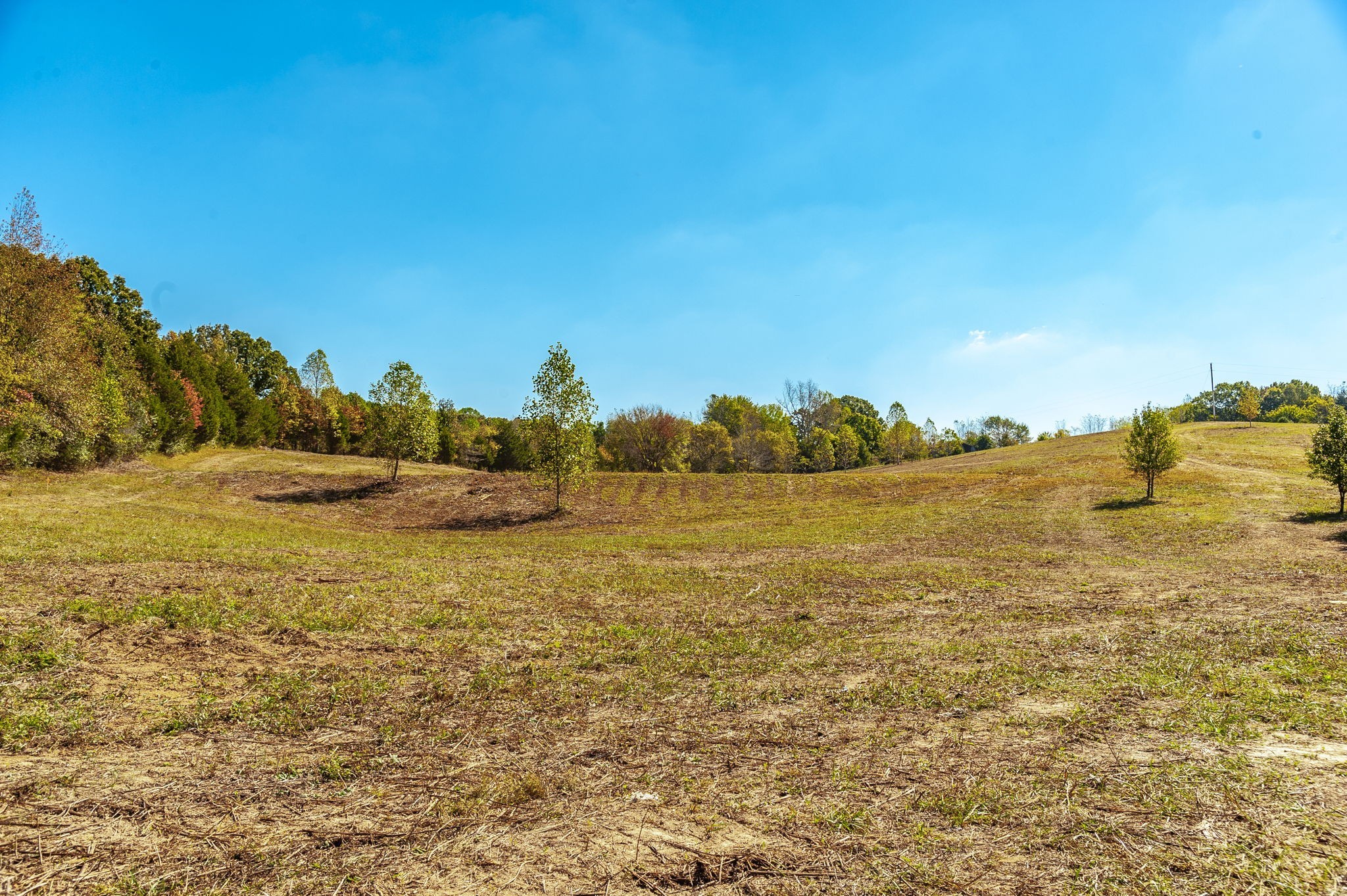 2 Rock Bridge Road Bethpage, TN 37022 - Photo 12 of 14 a view of an ocean
