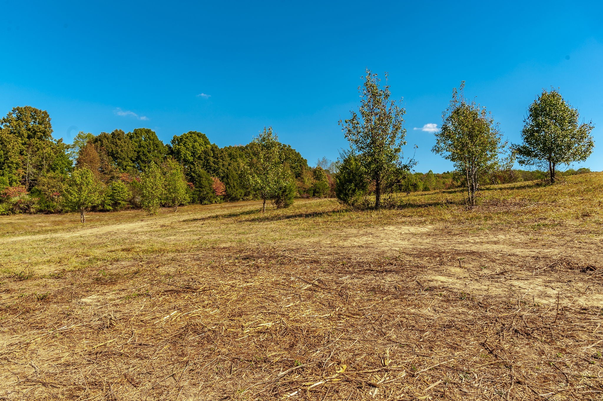 2 Rock Bridge Road Bethpage, TN 37022 - Photo 13 of 14 a view of a yard with a house