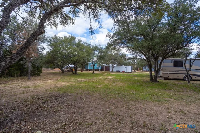 a view of a yard with a tree