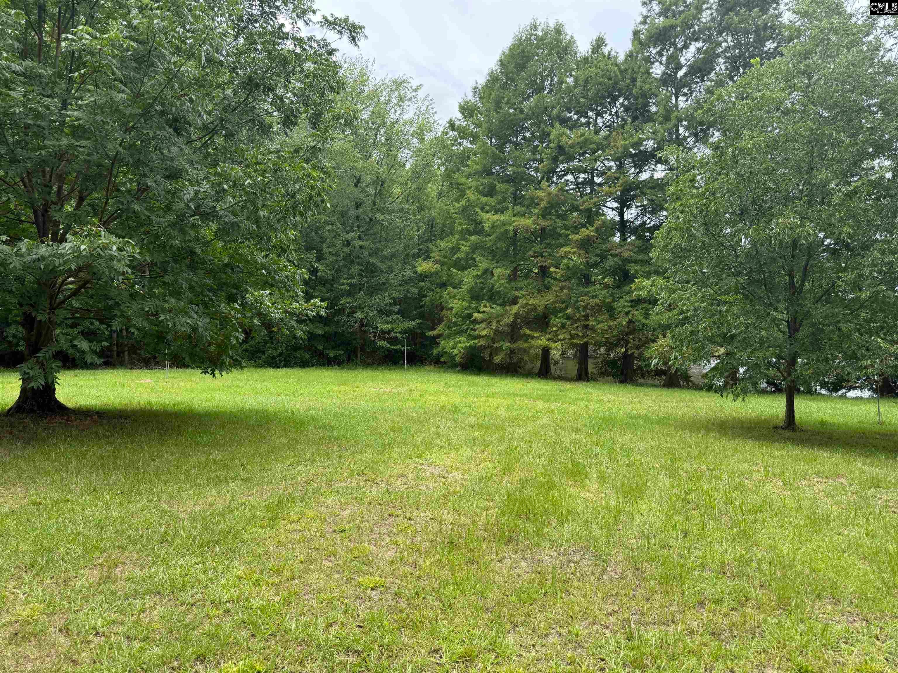 623 Jacobs Millpond Road Elgin, SC 29045 - Photo 39 of 44 Gallery Image 39
