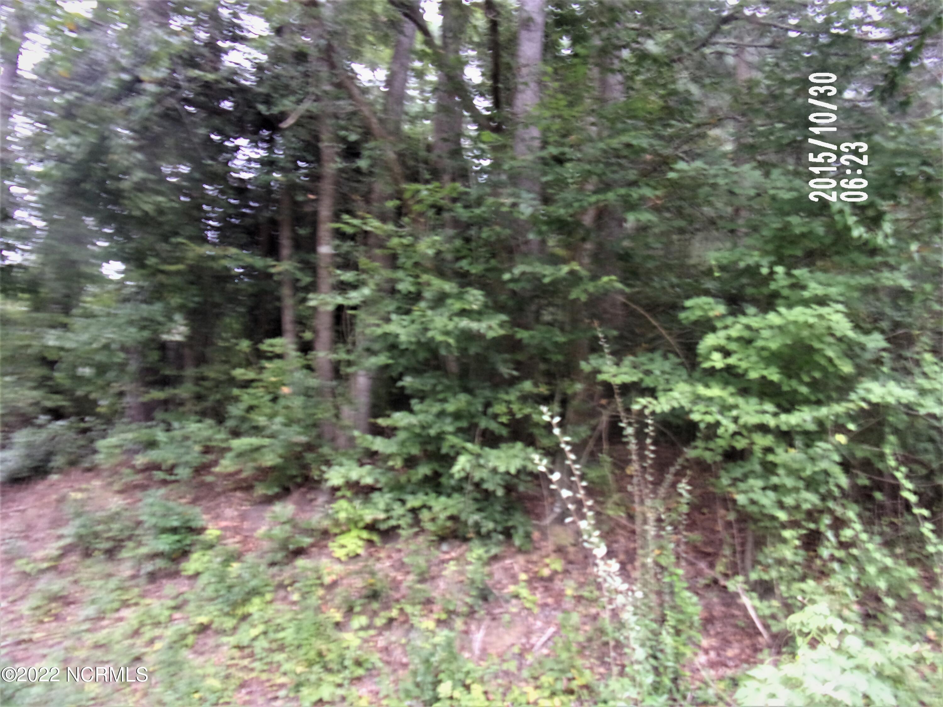 Lot 13 Davis Road Richlands, NC 28574 - Photo 1 of 1 271_4369