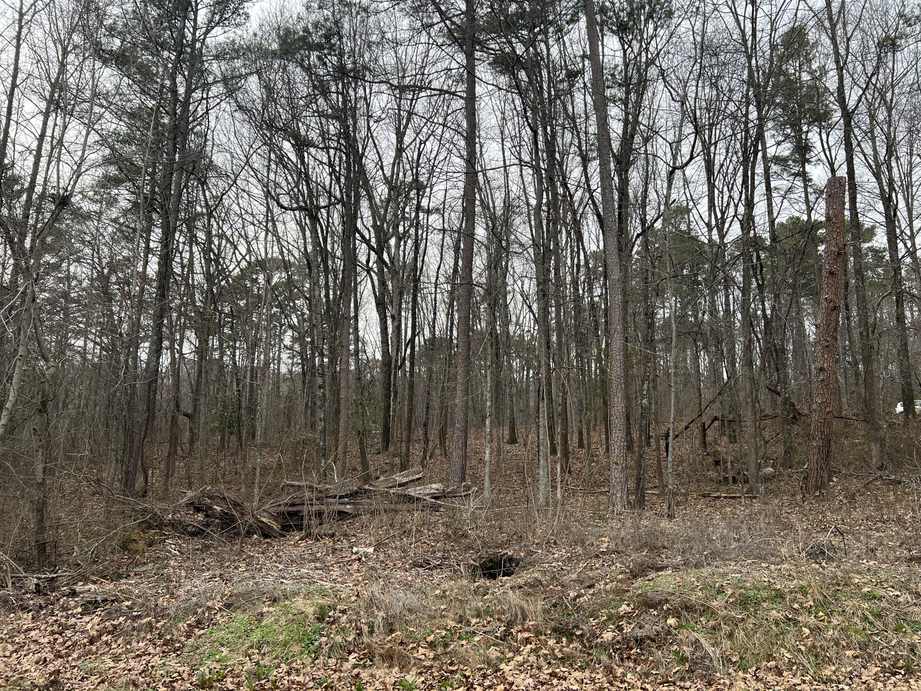 0 Hogan Road, Unit LOT 5 Rossville, GA 30741 - Photo 1 of 4 6EDD4982-E6A0-4053-B7B4-8E573024FBF5