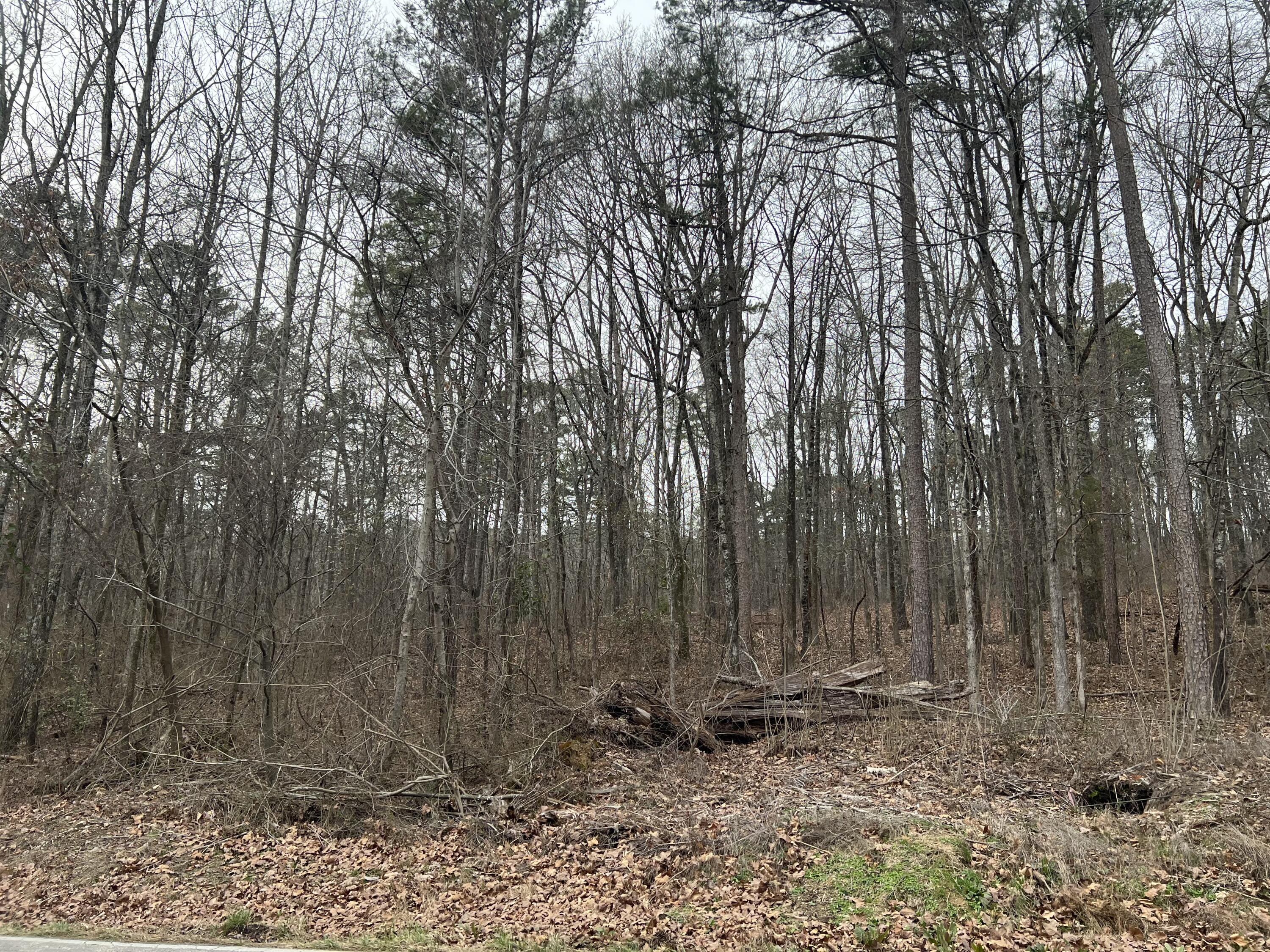 0 Hogan Road, Unit LOT 5 Rossville, GA 30741 - Photo 2 of 4 6416333C-0126-4239-9452-645D4D756C09