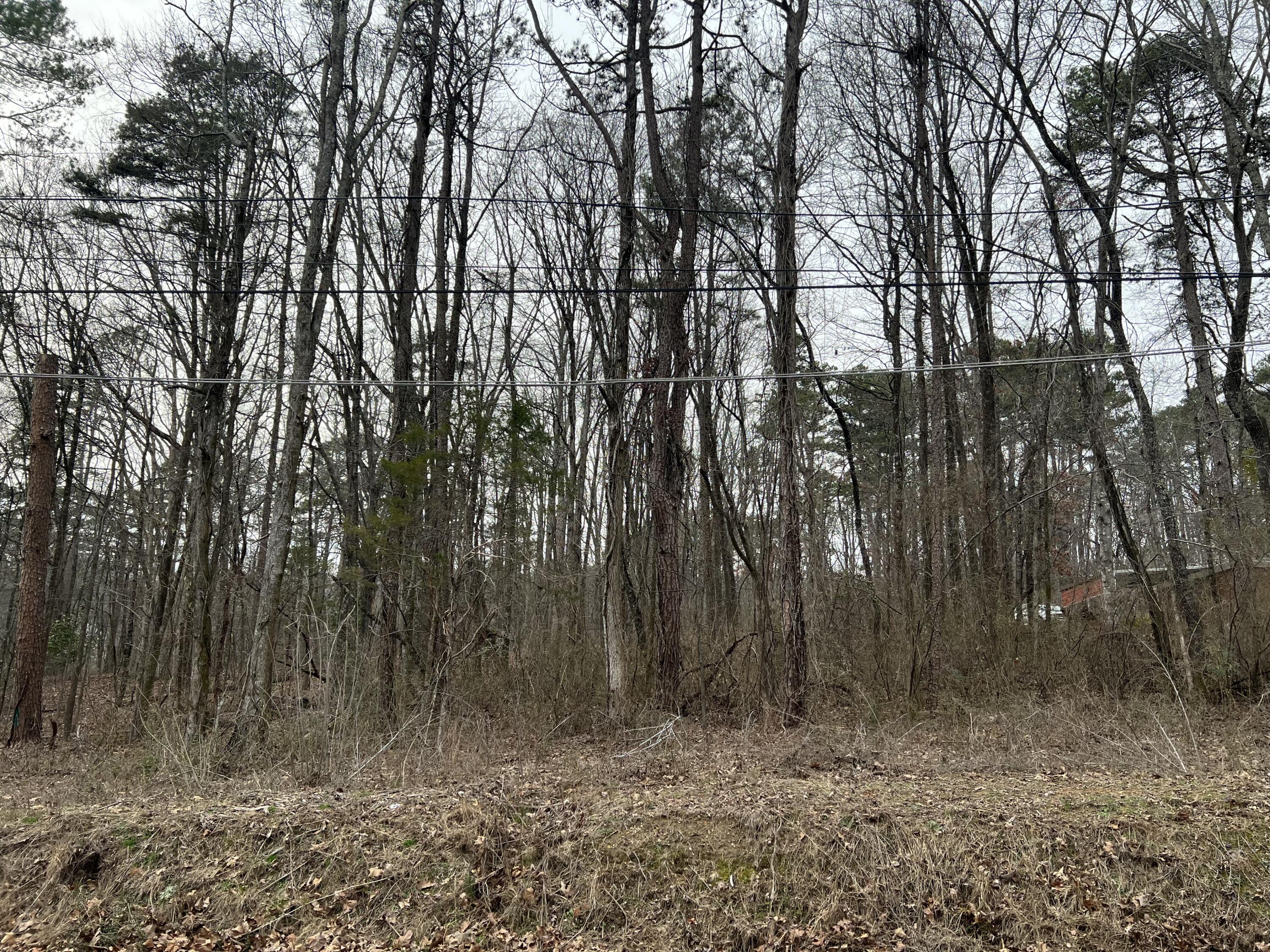 0 Hogan Road, Unit LOT 5 Rossville, GA 30741 - Photo 3 of 4 157E0394-A49A-474E-A911-823F4660444C