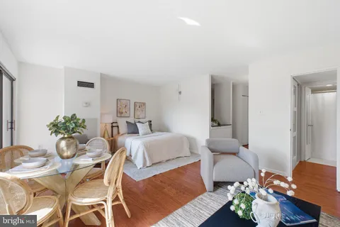 a living room with furniture potted plant and a window