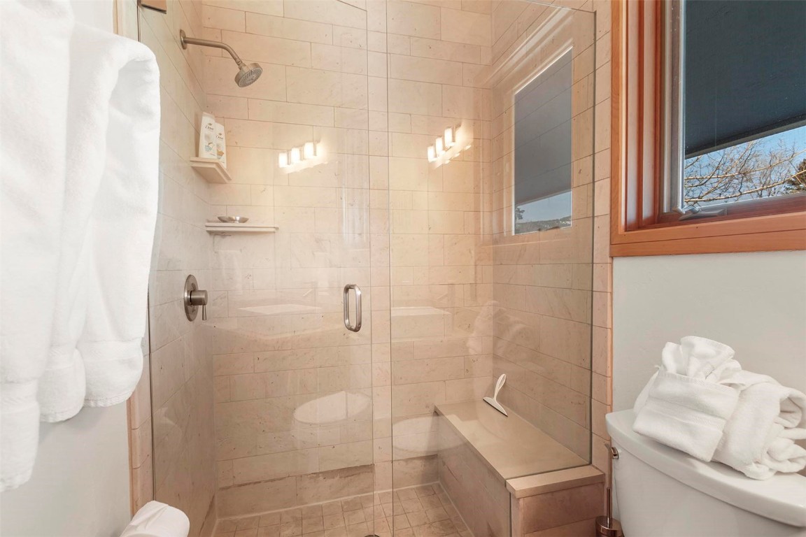 217 South Ridge Street, Unit 3 Breckenridge, CO 80424 - Photo 11 of 21 a bathroom with a shower and toilet