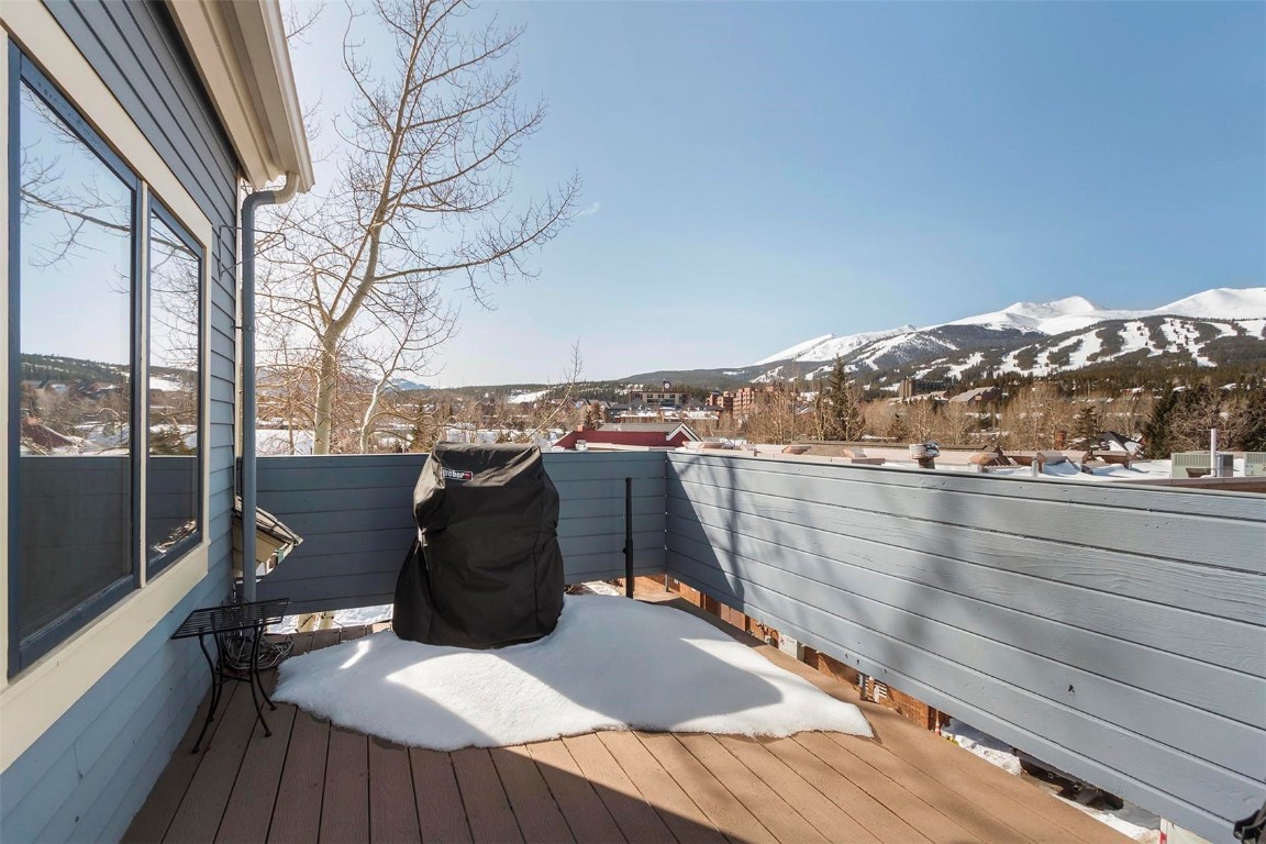 217 South Ridge Street, Unit 3 Breckenridge, CO 80424 - Photo 16 of 21