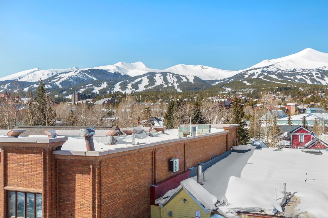 217 South Ridge Street, Unit 3 Breckenridge, CO 80424 - Photo 18 of 21 a view of a terrace with a sink and dishwasher