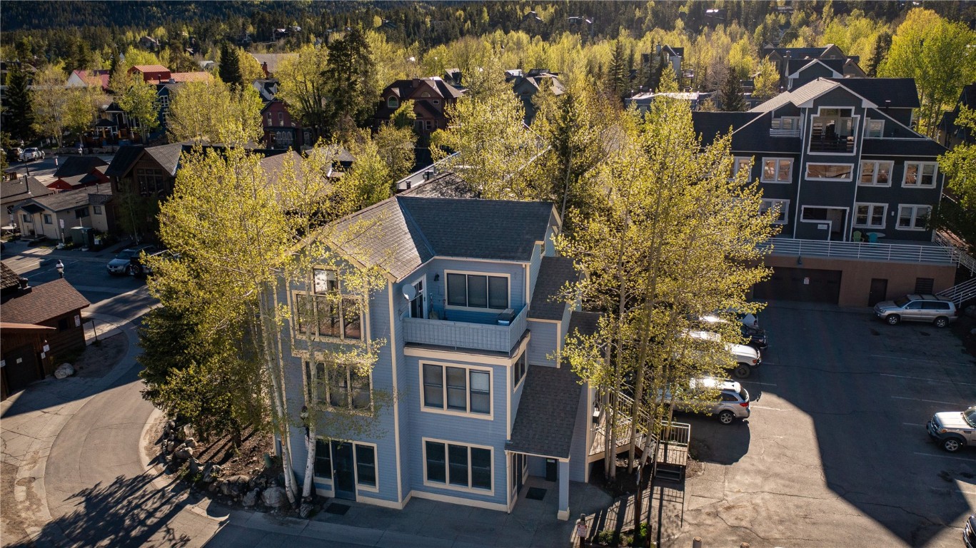 217 South Ridge Street, Unit 3 Breckenridge, CO 80424 - Photo 20 of 21 an aerial view of residential houses with outdoor space