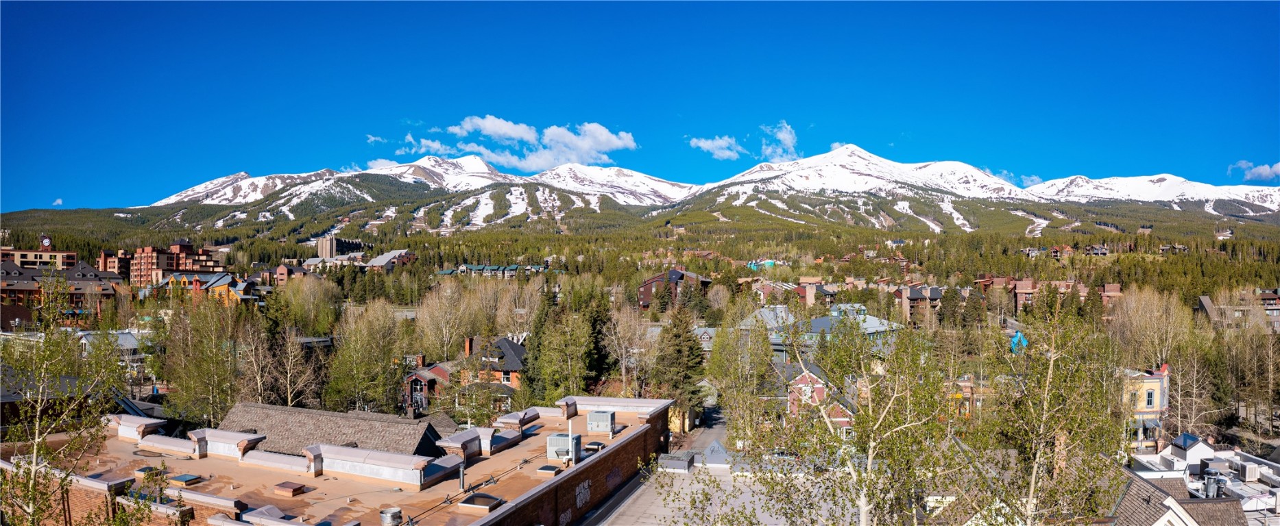 217 South Ridge Street, Unit 3 Breckenridge, CO 80424 - Photo 21 of 21 a view of a house with a yard