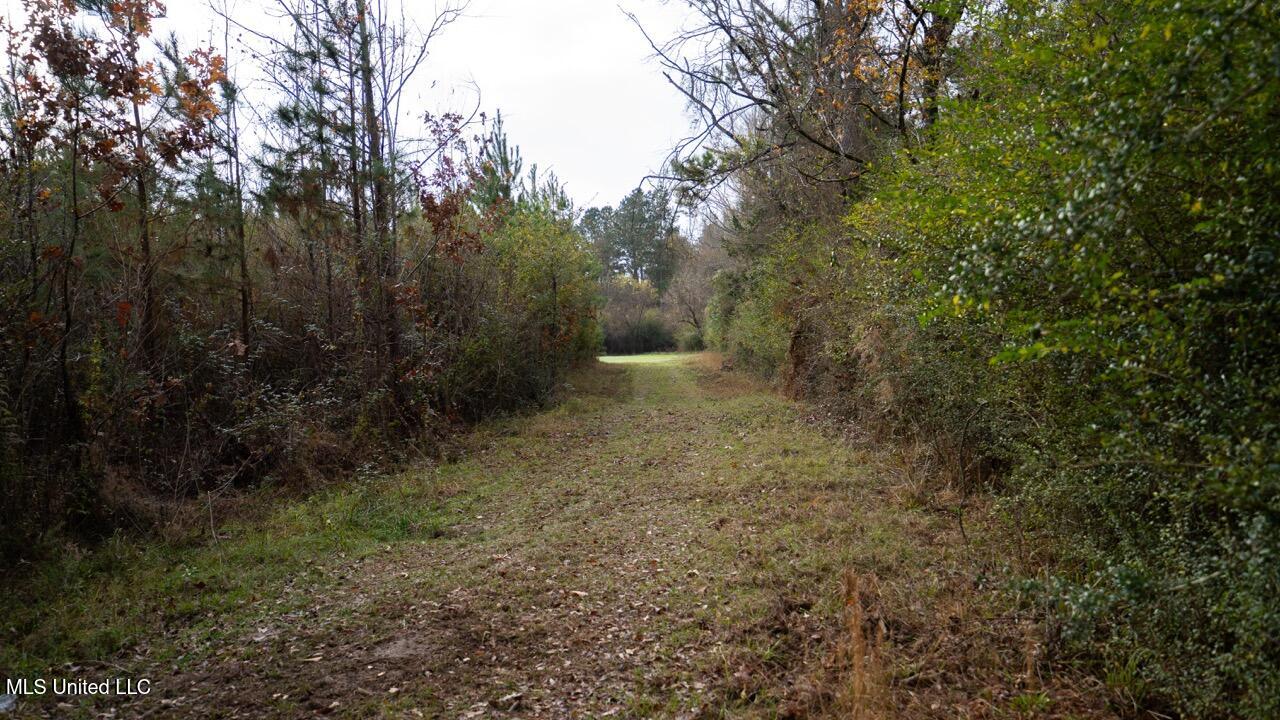 3448 Lower Centreville Road Liberty, MS 39645 - Photo 13 of 36 ZTS08027 Large