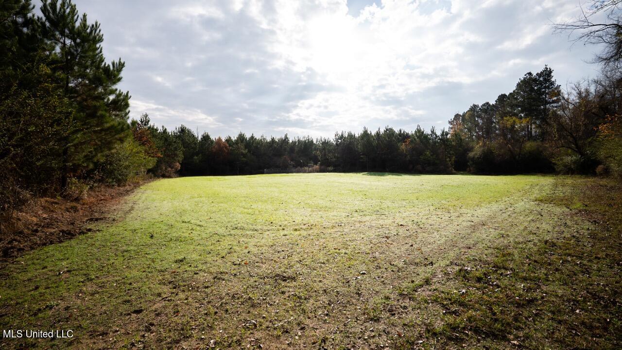 3448 Lower Centreville Road Liberty, MS 39645 - Photo 14 of 36 ZTS08030 Large
