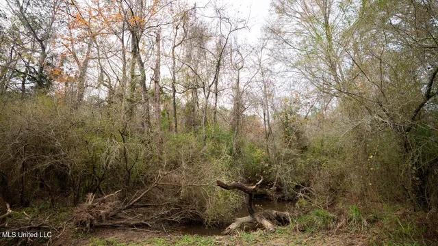 $1,325,250 | 3448 Lower Centreville Road, Liberty, MS 39645