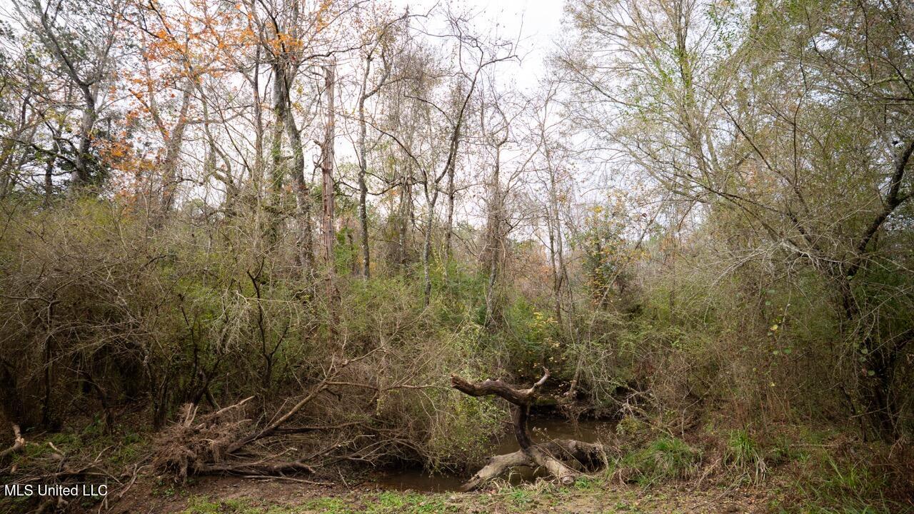 3448 Lower Centreville Road Liberty, MS 39645 - Photo 15 of 36 ZTS08036 Large