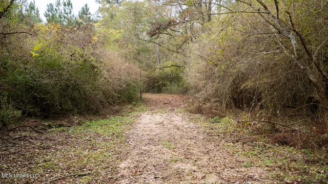 $1,325,250 | 3448 Lower Centreville Road, Liberty, MS 39645